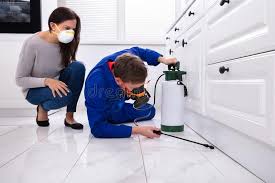 Trusted Meadowlakes, TX Pest Control Experts